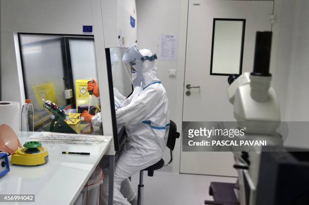 Biologist works in a research lab, part of the Cancer Academic Institute of the National Health and Medical Research Institute Inserm laboratory in...