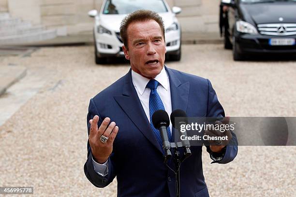 Actor, former governor of California and founding chair of the R20 initiative Arnold Schwarzenegger makes a statement after his meeting with French...