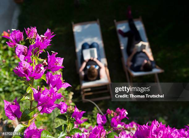 Bougainvillea framed view from above of a woman and a man each lying on a sun lounger reading a book in a garden in the Campania region pictured on...