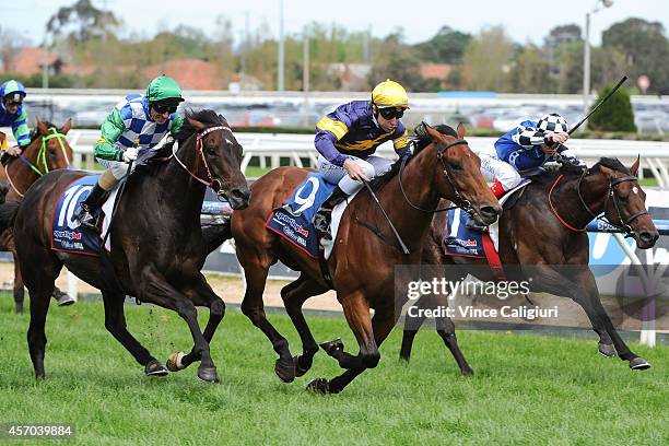 Caulfield Guineas Day, Nyhetsfoto