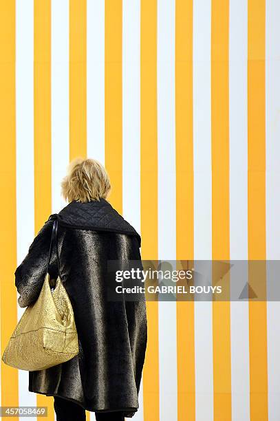 Woman visits the exhibition "Anni 70 Arte a Roma" during a press preview at the Palazzo delle Esposizioni on December 16, 2013 in Rome. Almost two...