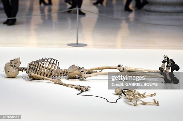 Picture shows a piece of art by Gino de Dominicis called "Time, Error, Space" representing the skeleton of a man on rollerblades and his dog as part...