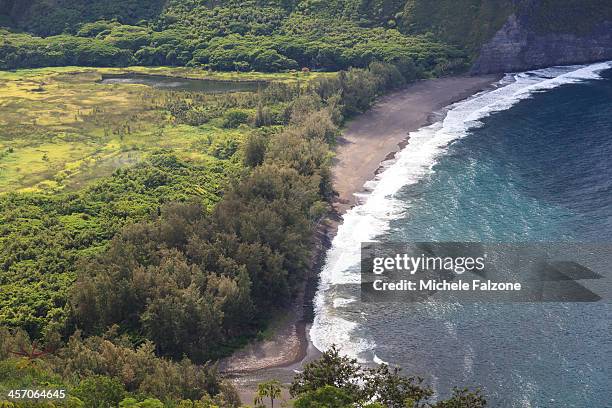 hawaii, waipio valley - waipio valley stockfoto's en -beelden