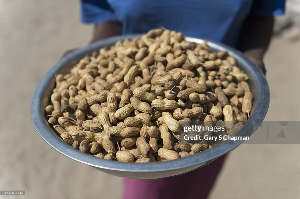 Peanuts from micro-loan enabled farm