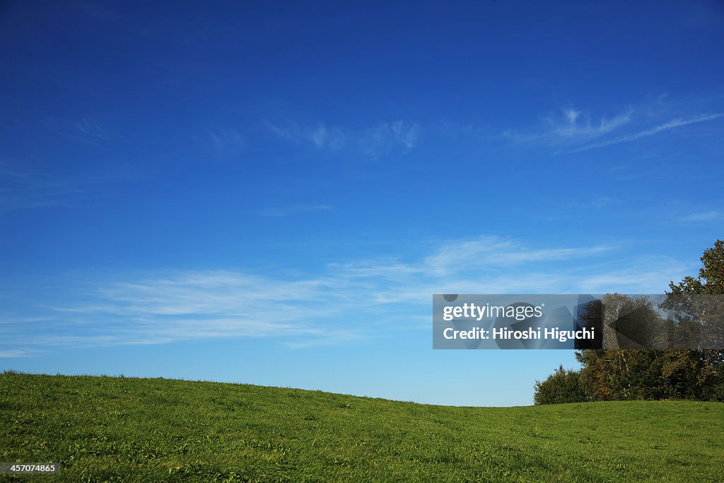 Rural landscape, Bavaria, Germany