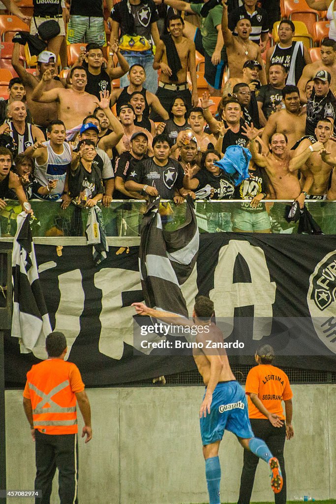 Corinthians vs Botafogo - Brasileirao Series A 2014