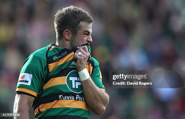 Stephen Myler of Northampton looks on during the Aviva Premiership match between Northampton Saints and Sale Sharks at Franklin's Gardens on October...