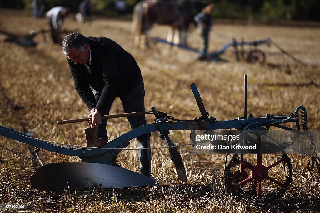 Ploughmen Complete In The British Ploughing Championship