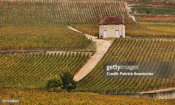 The vineyards of Gevrey-Chambertin.In the village of Gevrey-Chambertin in Burgundy the villagers have become unhappy with the purchase of the castle...