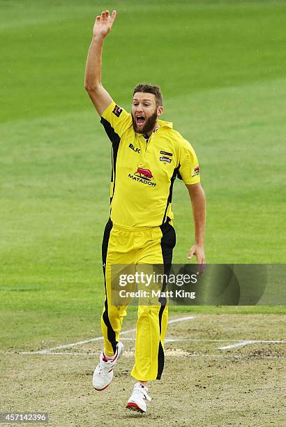 Andrew Tye of the Warriors celebrates taking the wicket of Ben Dunk of the Tigers during the Matador BBQs One Day Cup match between Tasmania and...