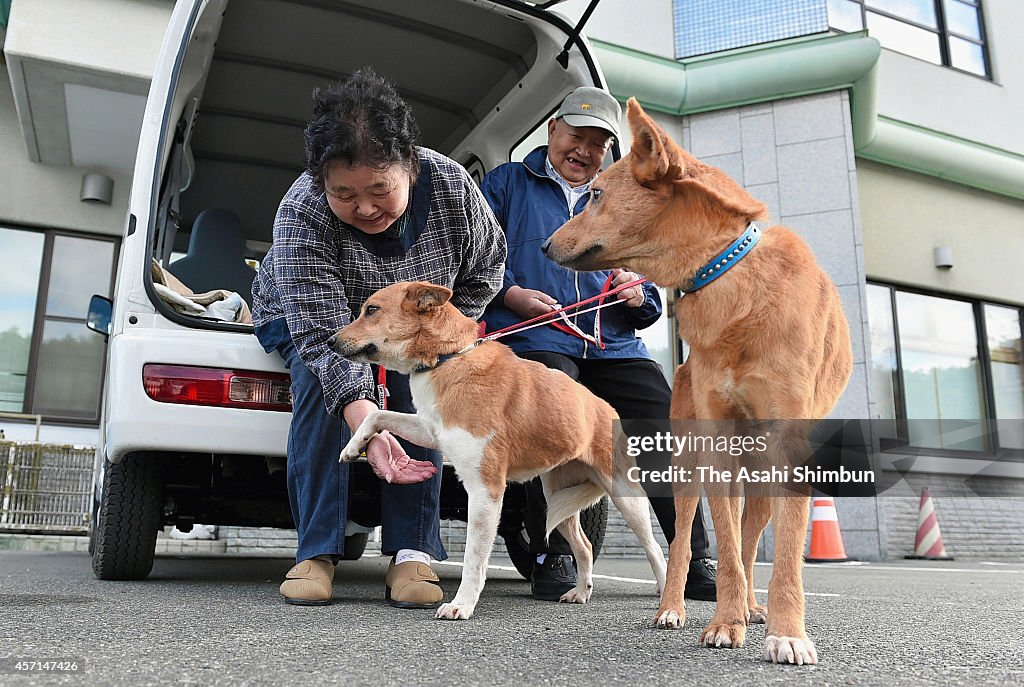 Bittersweet Embrace For Fukushima Evacuees And Their Pets