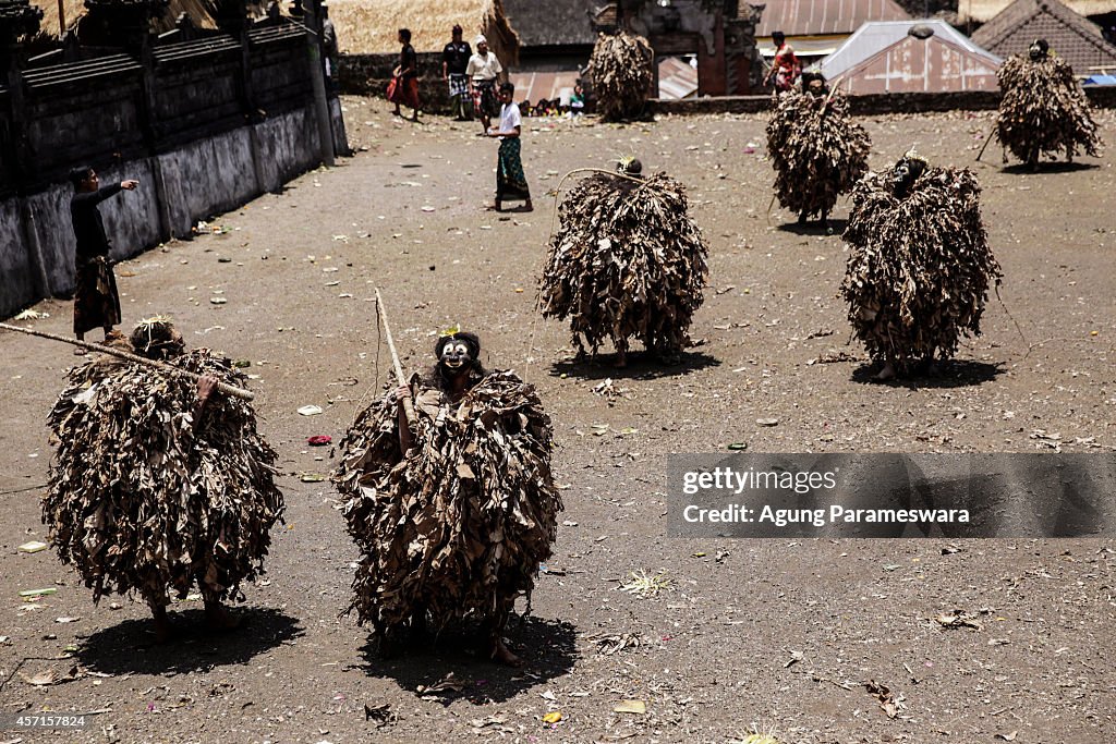 Locals Gather To Perform The Barong Brutuk Ritual