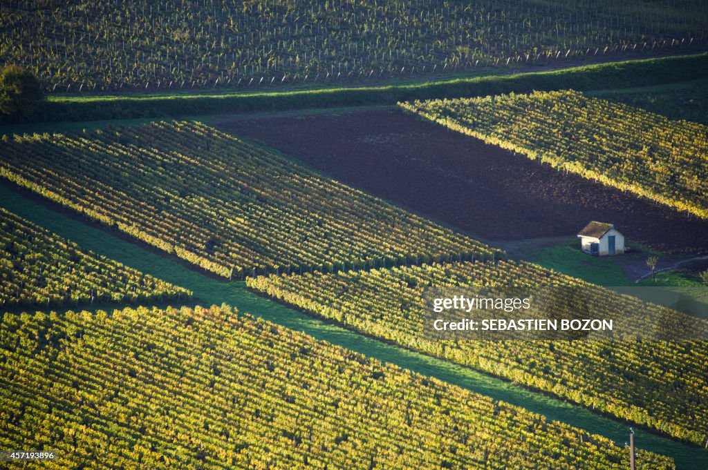 FRANCE-AGRICULTURE