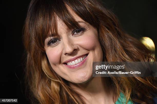 Actress Rosemarie DeWitt attends the premiere of 'Men, Women and Children' at DGA Theater on September 30, 2014 in Los Angeles, California.