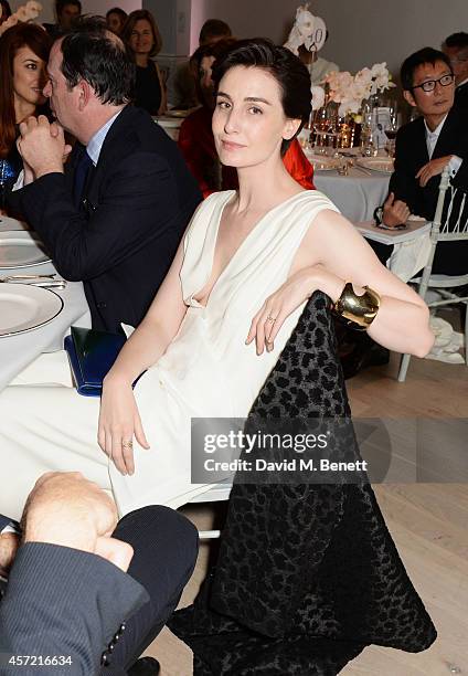 Erin O'Connor attends the Bianca Jagger Human Rights Foundation "Arts for Human Rights" benefit gala auction at Phillips Gallery on October 14, 2014...