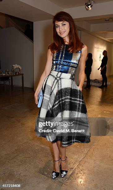 Olga Kurylenko attends the Bianca Jagger Human Rights Foundation "Arts for Human Rights" benefit gala auction at Phillips Gallery on October 14, 2014...