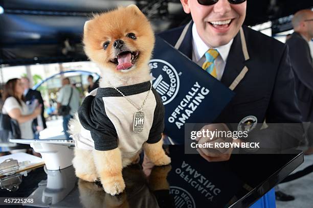 Jiff the Pomeranian dog poses for a photo with Guinness World Records adjudicator Michael Empric during a visit to the Hollywood and Highland complex...