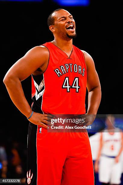 Chuck Hayes of the Toronto Raptors looks on during a game against the New York Knicks at Madison Square Garden on October 13, 2014 in New York City....
