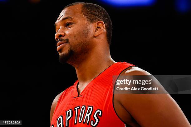 Chuck Hayes of the Toronto Raptors looks on during a game against the New York Knicks at Madison Square Garden on October 13, 2014 in New York City....