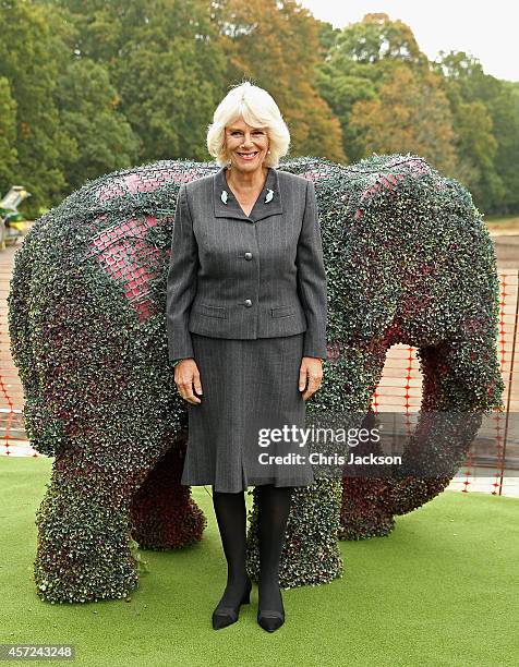 Camilla, Duchess of Cornwall stands in front of an 'Elephant family' pink Elephant at the site of the building site where an all weather pitch in...