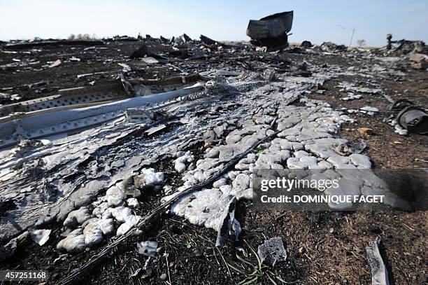 Flight 17 Malaysia Airlines Flight 17 Crash Photos and Premium High Res Pictures ...