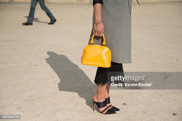 Fashion Blogger Irina Lakicevic is wearing a Louis Vuittonbag, Phillipa Kay coat, Isabel Marant skirt and Altuzarra shoes on day 8 of Paris...