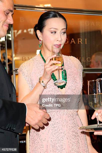 Carina Lau attends the opening ceremony of BVLGARI on 15th October, 2014 in Hongkong, China.