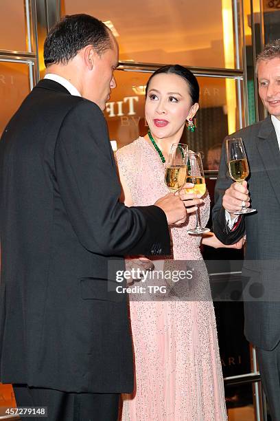 Carina Lau attends the opening ceremony of BVLGARI on 15th October, 2014 in Hongkong, China.