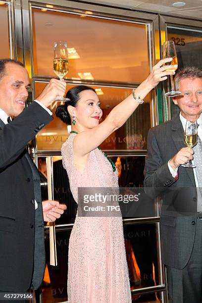 Carina Lau attends the opening ceremony of BVLGARI on 15th October, 2014 in Hongkong, China.