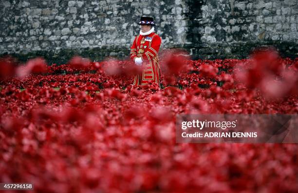 Yeoman Warder stands amongst the poppies as Queen Elizabeth II and her husband Prince Philip visit the Tower of London's 'Blood Swept Lands and Seas...