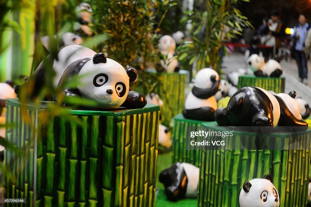 Pandas Act Cutely In Yangzhou