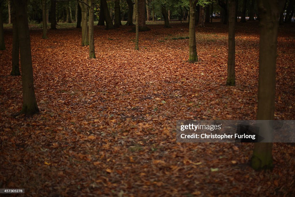 Autumn Colours Begin To Show