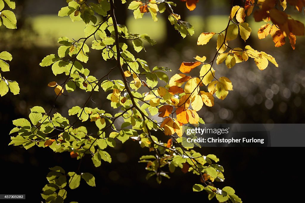 Autumn Colours Begin To Show