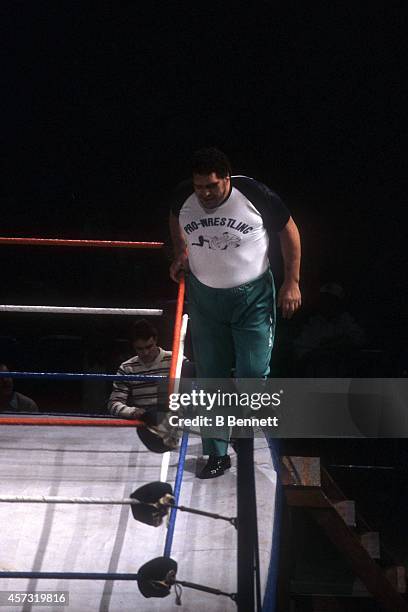French professional wrestler and actor Andre the Giant , gets ready to step over the rope as a special guest referee for the match between Rowdy...