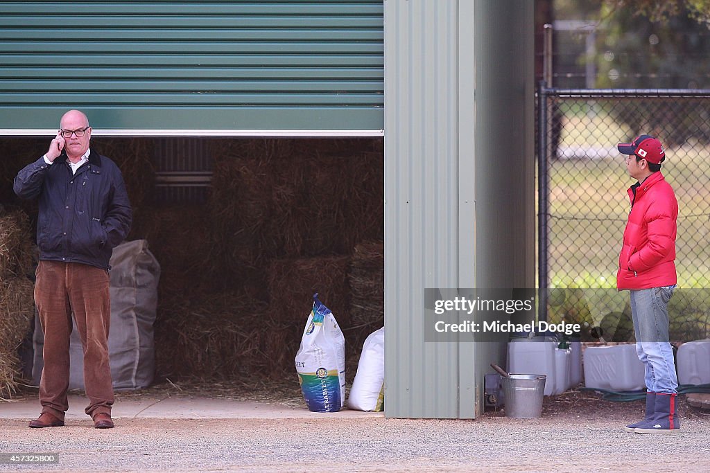 Werribee Trackwork Session