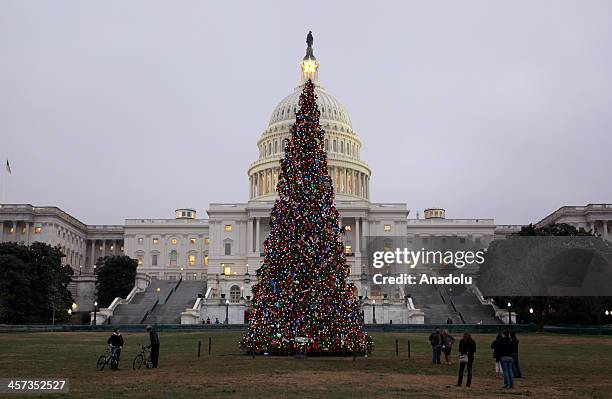 The U.S. Capitol Christmas Tree is seen outside the West Front of the United States Capitol in Washington on December 9, 2013.