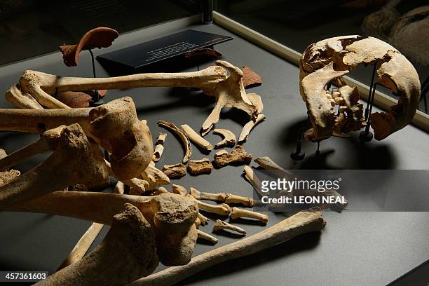 The skeleton of a man between 2460 and 2290 BC, during the early Bronze Age, and was buried near the world heritage prehistoric monument of...