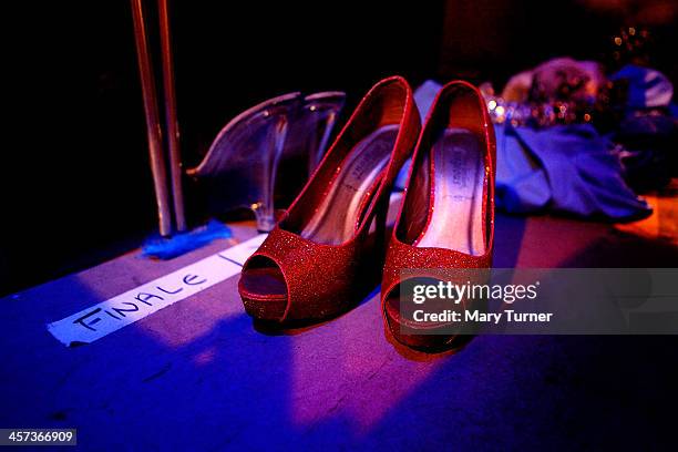 Pantomime Dame Ceri Dupree's shoes for the finale of Sleeping Beauty in which he is appearing as Princess Passionella, at the Wolverhampton Grand...