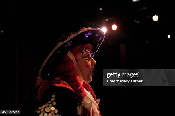 Pantomime Dame Steve Wickenden, aged 28, on stage as Sarah The Cook in Dick Wittington at Millfield Arts Centre on December 4, 2013 in Edmonton,...