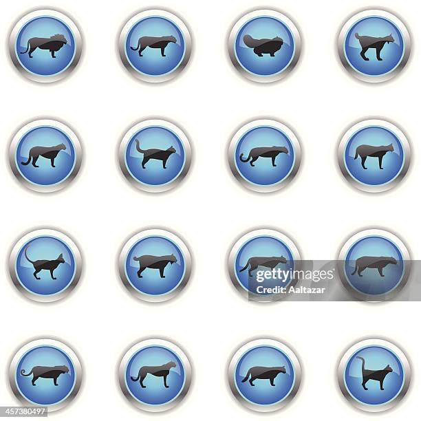 blue icons - felines - siamese cat stock illustrations