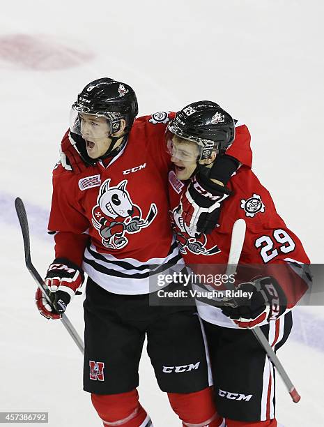Brian Brosnan of the Niagara Ice Dogs celebrates his goal with teammate Aleksandar Mikulovich in an OHL game between the Belleville Bulls and the...