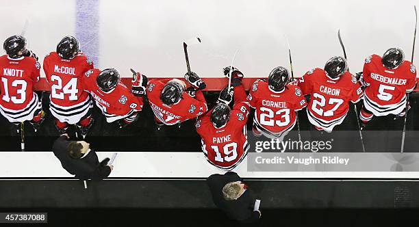 The Niagara Ice Dogs look on from the bench during an OHL game between the Belleville Bulls and the Niagara Ice Dogs at the Meridian Centre on...
