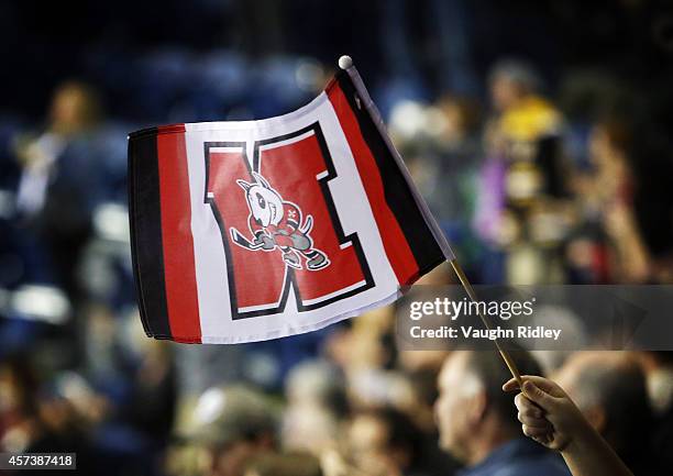Fan weaves a flag during an OHL game between the Niagara Ice Dogs and the Belleville Bulls at the Meridian Centre on October 16, 2014 in St...
