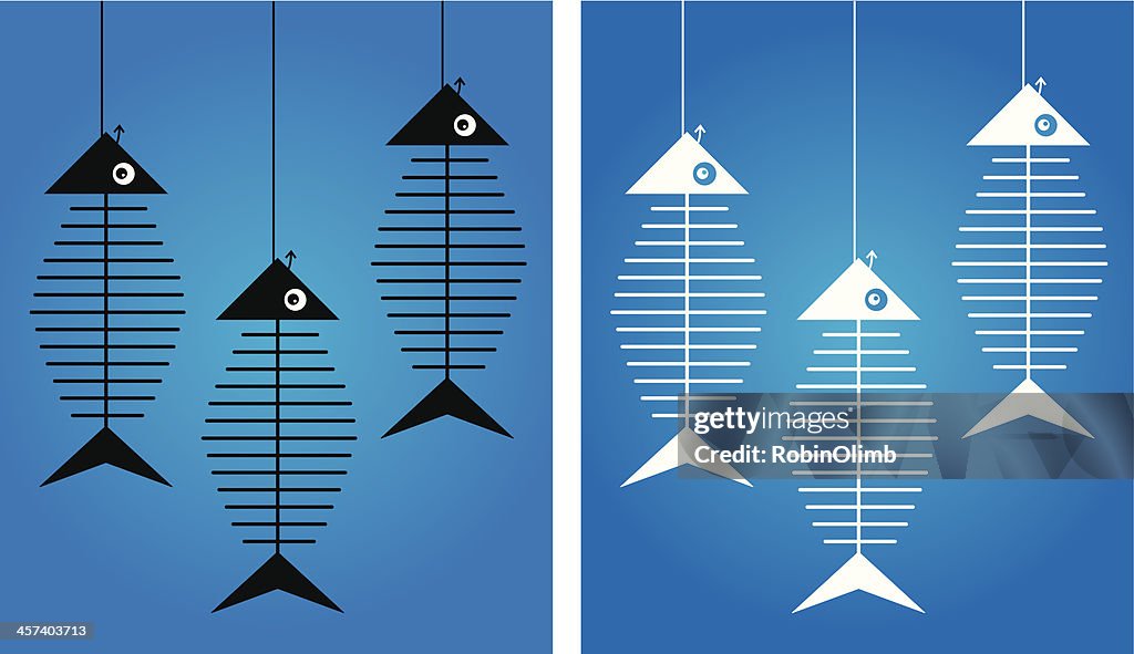 Squelettes de poissons