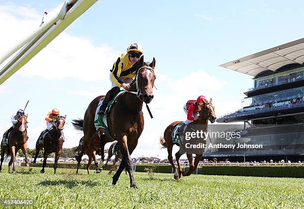 Jeff lloyd rides Salerno during Sydney Racing at Royal Randwick Racecourse on October 18, 2014 in Sydney, Australia.