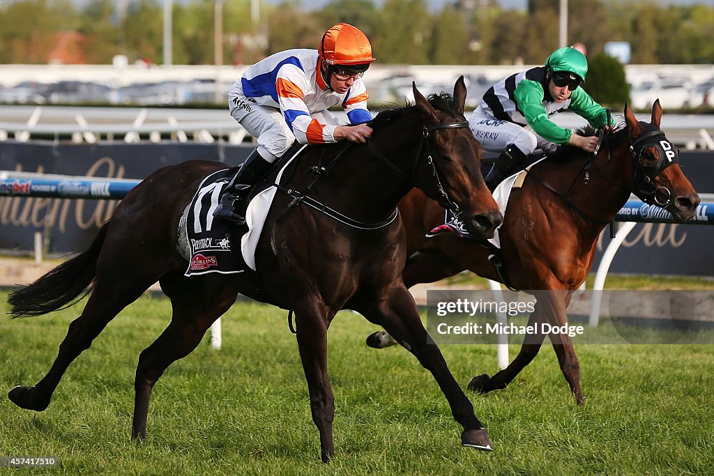 Caulfield Cup Day