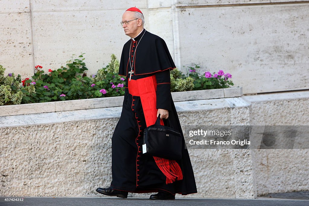 Synod On the Themes of Family Is Held At Vatican