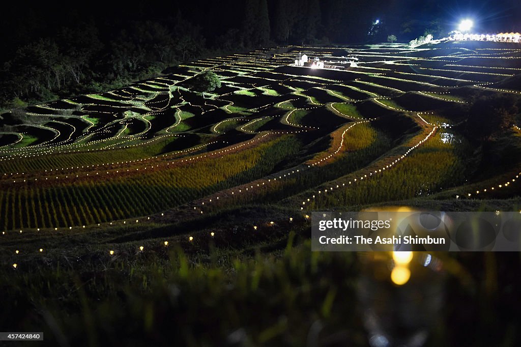 Terrace Paddy Illuminated