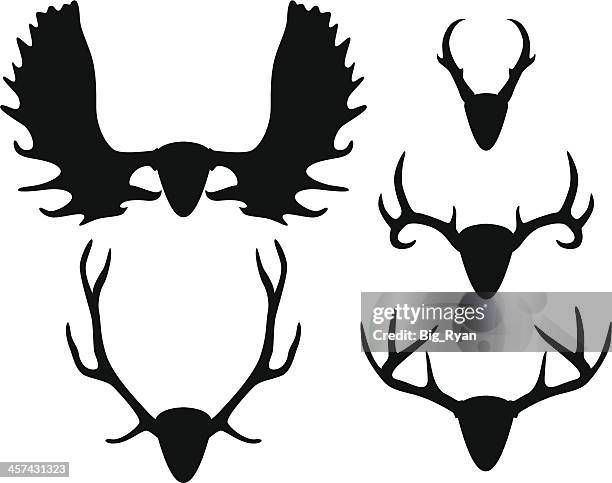 ilustraciones, imágenes clip art, dibujos animados e iconos de stock de cuerno de - antler