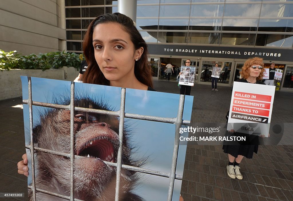 US-FRANCE-ENVIRONMENT-CONSERVATION-MONKEYS-AIR FRANCE